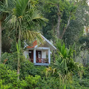 dhanagiri-home-stay-vythiri.kerala-hotels.net/